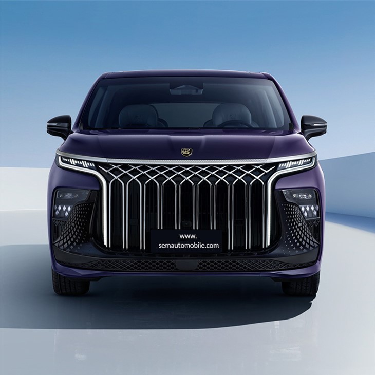 2024 Dongfeng Forthing U-Tour V9 Mpv